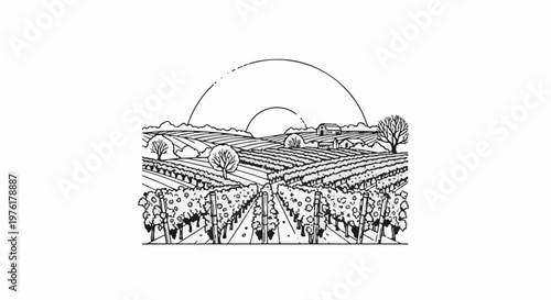 Rustic vineyard landscape with rolling hills, farmhouses, and a setting sun