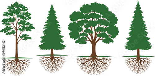 Detailed illustration of diverse tree species with visible root systems underground, showcasing broadleaf and coniferous morphology, canopy structures, and natural growth patterns in colorful design