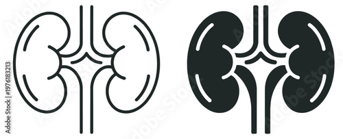 human kidneys anatomy icon, renal organ vector illustration, medical healthcare and urology symbol isolated on transparent background
