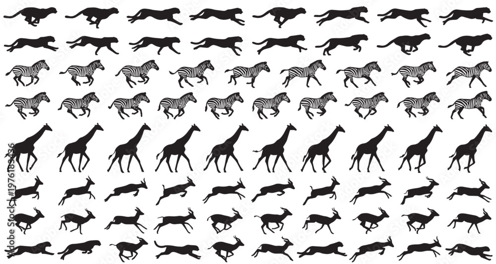 Fototapeta premium Safari Running and Action Silhouettes Set Pack. Editable Vector Stroke Illustration. featuring cheetah, zebra, giraffe, antelope, gazelle, animal, wildlife, wild, fauna, mammal more silhouettes.