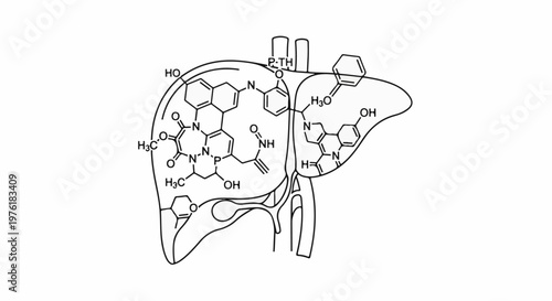 Schematic depiction of complex chemical structures superimposed on a liver outline