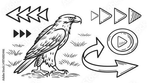 A black and white vector illustration of a hawk surrounded by various arrow icons and a play button.