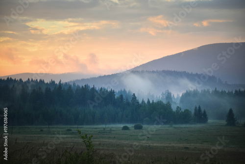 Foto Misty mountain landscape with forest and soft morning fog at sunrise