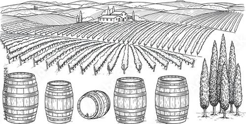 Vineyard Landscape with Wine Barrels and Cypress Trees Rural Agriculture Winery Scene Line Art Vector Illustration
