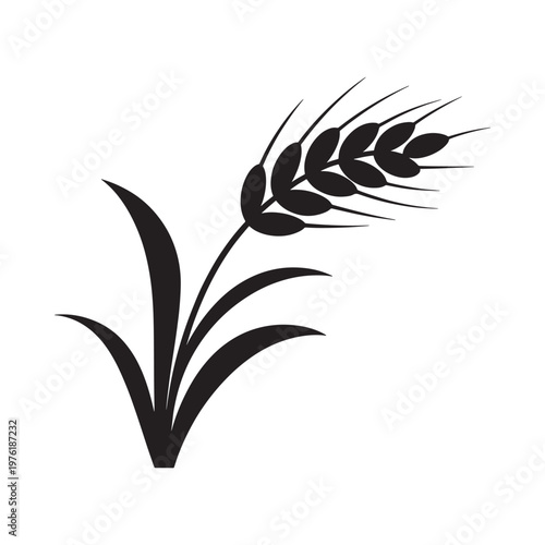 A simple black and white illustration of a wheat stalk with leaves