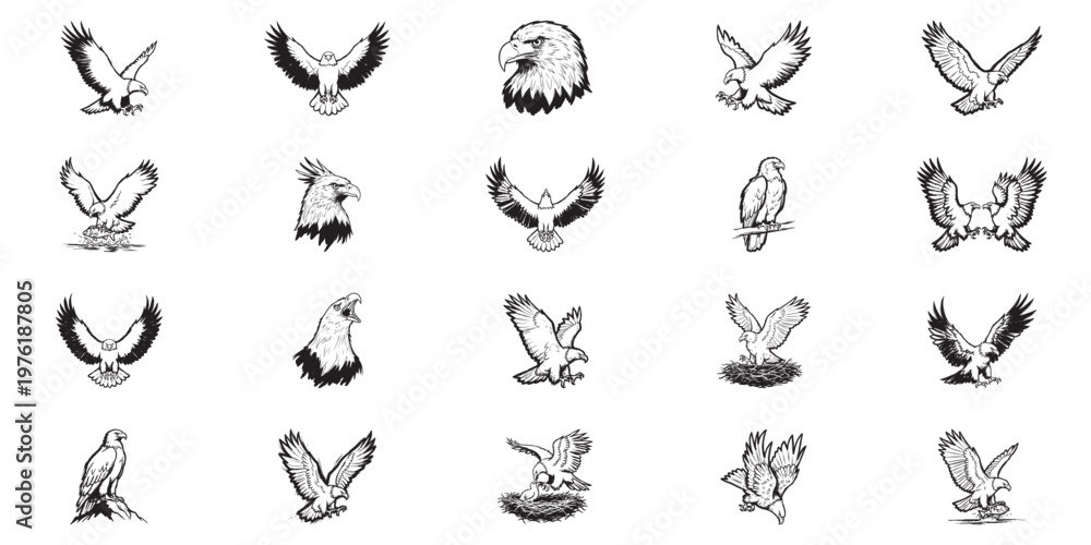 Obraz premium Eagle collection featuring majestic birds of prey in flight hunting and perched positions for emblem design.