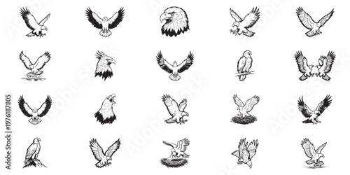 Eagle collection featuring majestic birds of prey in flight hunting and perched positions for emblem design.