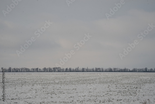 snow on field in winter