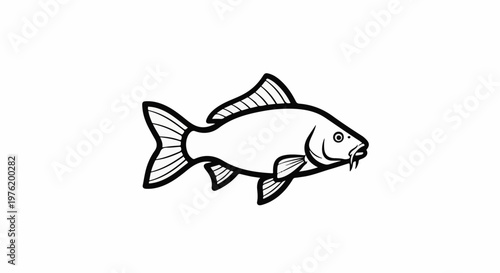 A simple line drawing of a carp, or koi, fish against a white background