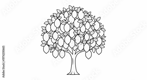 A simple line drawing of a lemon tree laden with fruit