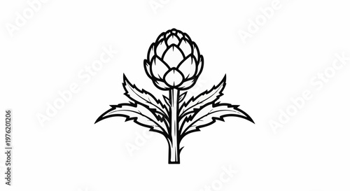 A monochrome illustration of an artichoke with large leaves