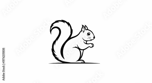 A simplified black and white illustration of a squirrel with a bushy tail