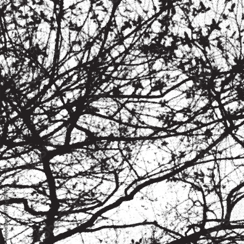 A bare summer tree halftone silhouette with black frozen branches stands against a white abstract forest landscape in the cold nature of a snowy fall season.