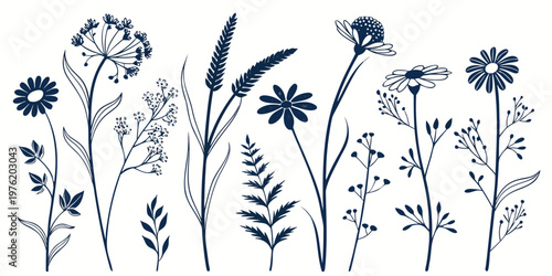 Collection of various wild meadow flowers and plants with line art wildflowers botanical illustration silhouette decoration ornament delicate graceful