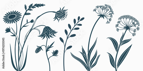 Stylized silhouette illustrations of garden and meadow flowers with line art botanical illustration silhouette decoration ornament delicate graceful