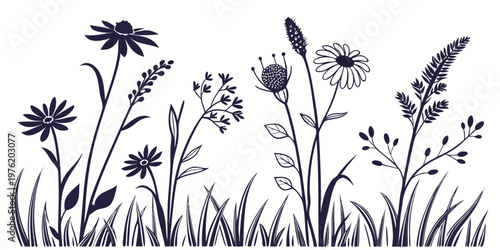 Silhouette meadow flowers and grasses with black and white silhouette botanical wildflower isolated decoration illustration minimalist monochrome outdoors