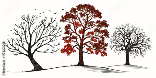 Three trees in silhouette with varied foliage two bare and one with red leaves under a sky with birds silhouette seasonal deciduous branches illustration