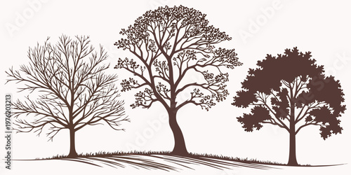 Graphic representation of three trees: one bare one full of leaves one with dark foliage silhouette seasonal deciduous branches illustration stylized