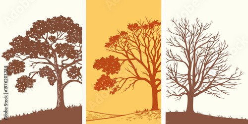 Stylized trees in silhouette: full leaf sparse leaf bare branches with line art silhouette illustration seasonal botanical woodland deciduous evergreen
