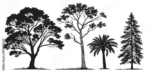 Assortment of tree silhouettes with black and white plant life palm tree deciduous tree evergreen tree silhouette botanical illustration branches isolated