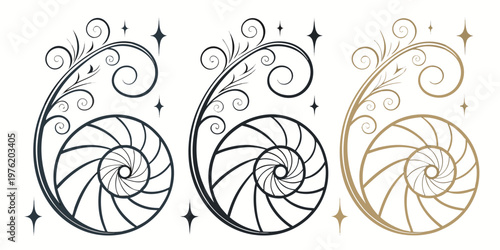Three decorative swirl and spiral elements in different colors with graphic design decorative stylized collection illustration abstract decoration ornament