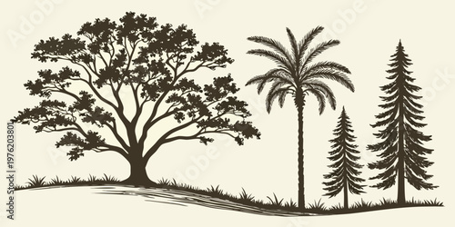 Diverse tree silhouettes: oak palm conifer trees with grassy ground element for natural scenery design versatile graphic can be used for natural landscape