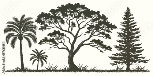 Variety of tree silhouettes on grassy ground - palm broadleaf small fan palm coniferous tree graphic vector with silhouette broadleaf evergreen landscape
