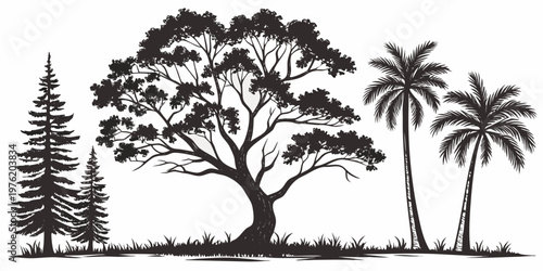 Variety of tree silhouettes: conifer deciduous palm trees with grassy ground border graphic diverse set of trees can be used for natural landscape