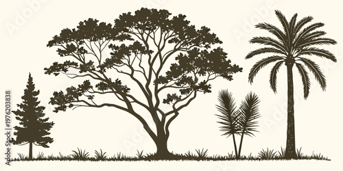 Collection of tree silhouettes on grassy line - conifer broadleaf palm shrub tall date palm tree vector with silhouette broadleaf evergreen landscape abstract