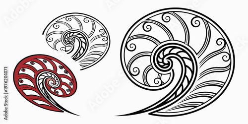 Abstract stylized nautilus shell spiral design set with elegant organic swirl patterns nautilus abstract geometric fibonacci artistic illustration background