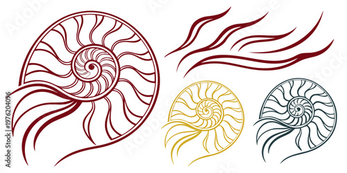 Multicolored nautilus shell spirals with fluid wave patterns vector graphic marine life golden ratio nautilus illustration abstract segmented chambered