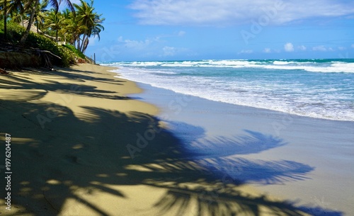 Shadows on a topical beach