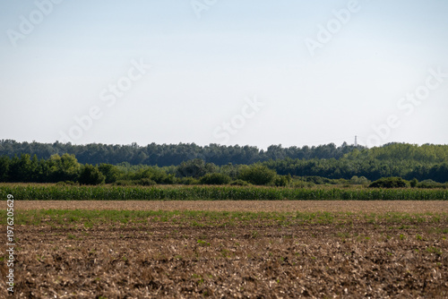 Fotografie Rural farmland landscape with empty sky