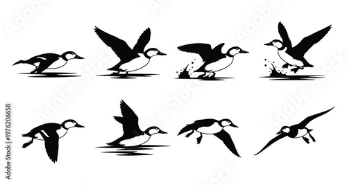 Black Duck Flying Over Water Silhouette Set Vector Illustration Collection Isolated on White Background