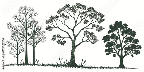 Collection of tree silhouettes and detailed line drawings featuring various species and leaf densities against a grassy horizon for natural landscape illustrations, silhouette