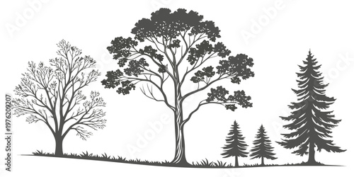 Set of diverse tree silhouettes including pine oak deciduous varieties on a grassy hill line for nature landscape design and environmental forestry concepts silhouette