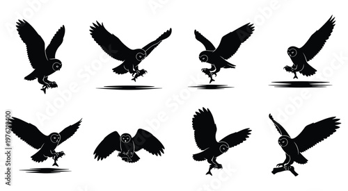 Set of 8 Large Raptor Bird Silhouettes in Powerful Flying and Landing Poses, Isolated on White Background