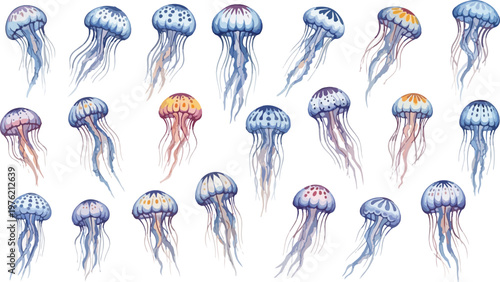 Vibrant Jellyfish Characters for Ocean Designs
