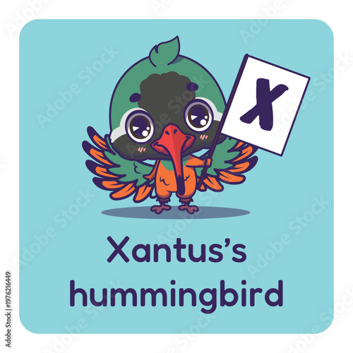 Cute xantus's hummingbird holding flag with letter X for fun educational purposes, illustrations