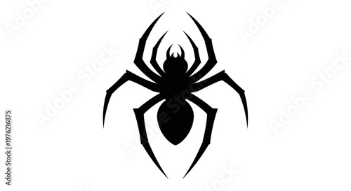 Black spider silhouette insect closeup.