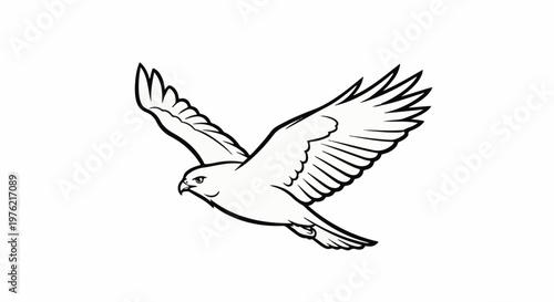 Black and white line drawing of a bird of prey in flight