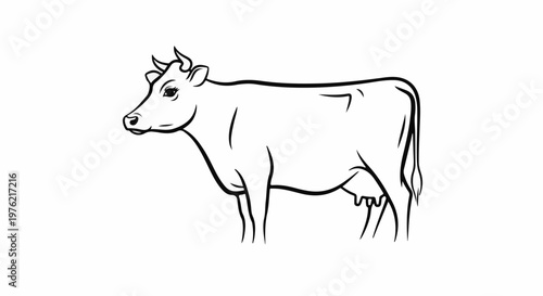 Black and white line drawing of a cow facing left, standing