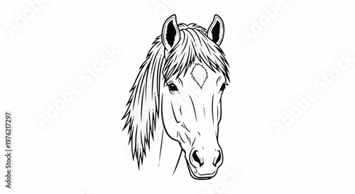 Black and white line drawing of a horse's head and mane