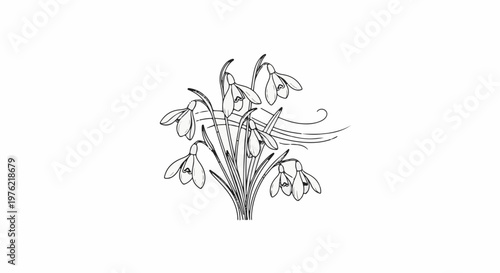 Black and white drawing of a bouquet of delicate snowdrop flowers with swirling lines