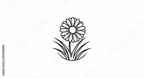 Black and white outline drawing of a daisy with grass blades