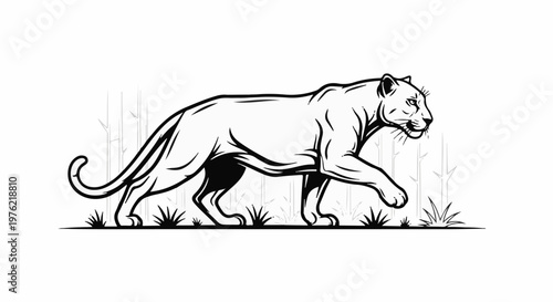 Black and white drawing of a sleek panther walking through tall grass