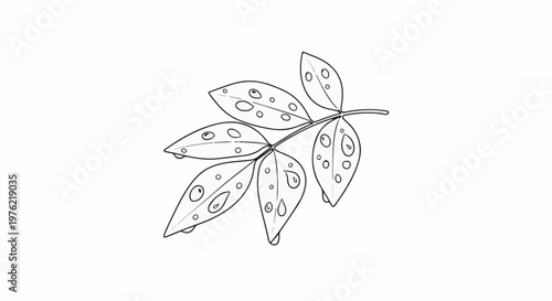 Black and white illustration of a branch with leaves showing signs of disease or insect damage