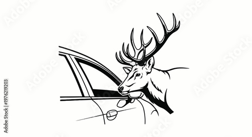 Deer with antlers peering at side of car