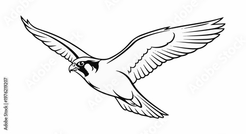 Black and white illustration of a falcon in flight