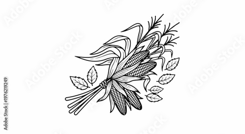 Black and white illustration of a harvested bundle of corn